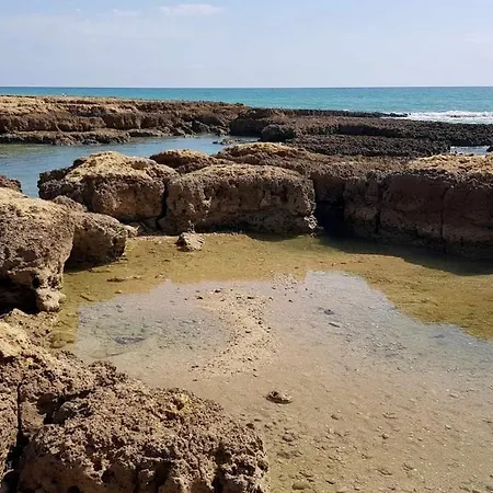 Lejlighed Sea View *