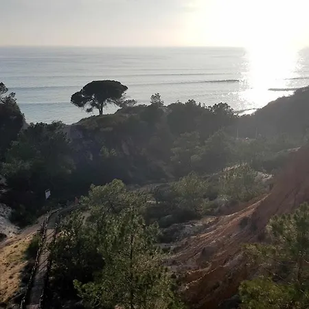 Апартаменты Sea View